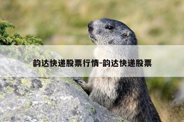 韵达快递股票行情-韵达快递股票-第1张图片-优惠活动网