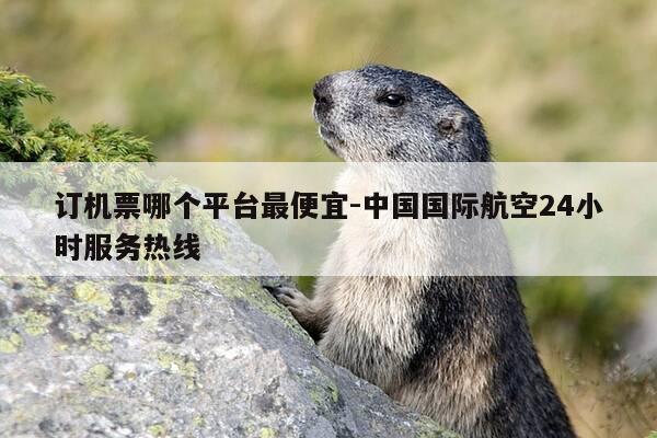 订机票哪个平台最便宜-中国国际航空24小时服务热线-第1张图片-优惠活动网