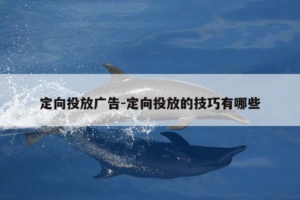 定向投放广告-定向投放的技巧有哪些-第1张图片-优惠活动网