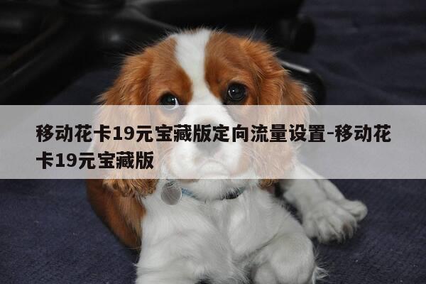 移动花卡19元宝藏版定向流量设置-移动花卡19元宝藏版-第1张图片-优惠活动网
