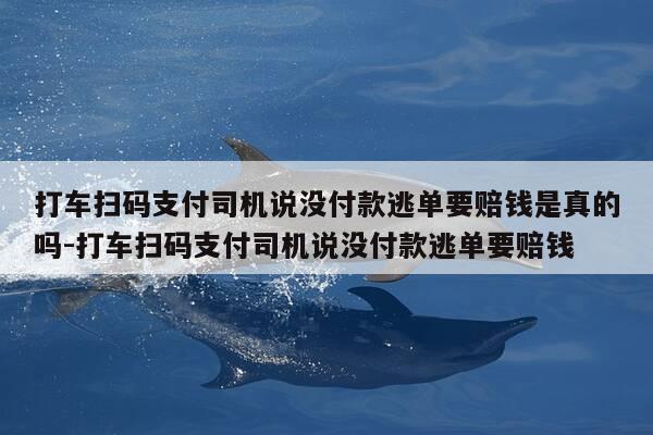 打车扫码支付司机说没付款逃单要赔钱是真的吗-打车扫码支付司机说没付款逃单要赔钱-第1张图片-优惠活动网