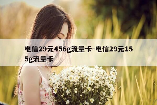 电信29元456g流量卡-电信29元155g流量卡-第1张图片-优惠活动网