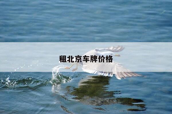 租北京车牌价格-第1张图片-优惠活动网 租北京车牌价格-第1张图片-优惠活动网