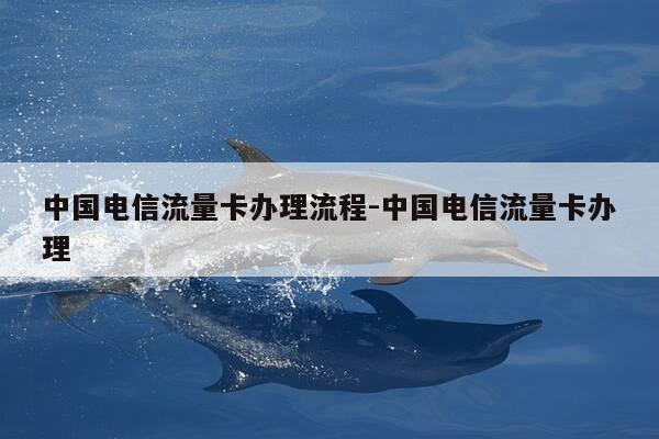中国电信流量卡办理流程-中国电信流量卡办理-第1张图片-优惠活动网 中国电信流量卡办理流程-中国电信流量卡办理-第1张图片-优惠活动网