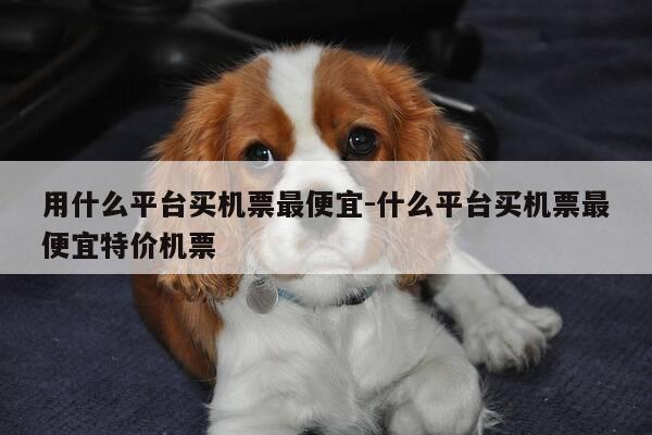 用什么平台买机票最便宜-什么平台买机票最便宜特价机票-第1张图片-优惠活动网 用什么平台买机票最便宜-什么平台买机票最便宜特价机票-第1张图片-优惠活动网