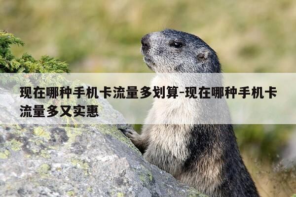 现在哪种手机卡流量多划算-现在哪种手机卡流量多又实惠-第1张图片-优惠活动网