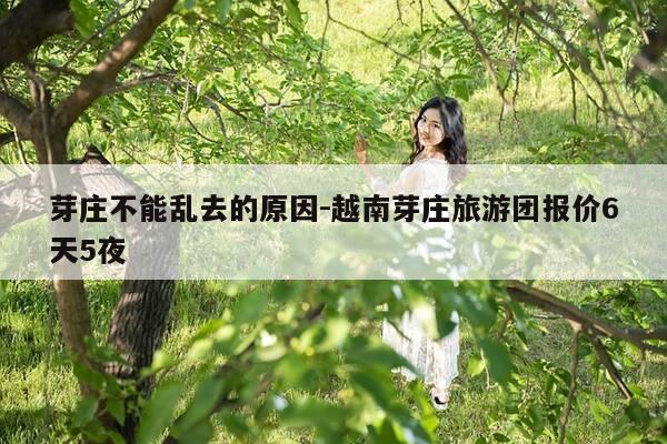 芽庄不能乱去的原因-越南芽庄旅游团报价6天5夜-第1张图片-优惠活动网