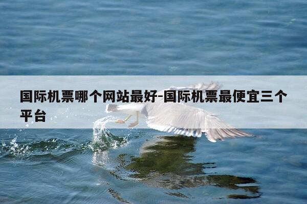 国际机票哪个网站最好-国际机票最便宜三个平台-第1张图片-优惠活动网 国际机票哪个网站最好-国际机票最便宜三个平台-第1张图片-优惠活动网