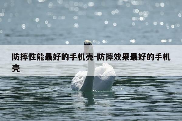 防摔性能最好的手机壳-防摔效果最好的手机壳-第1张图片-优惠活动网