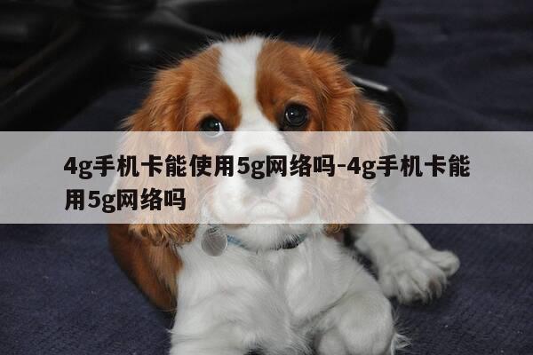 4g手机卡能使用5g网络吗-4g手机卡能用5g网络吗-第1张图片-优惠活动网