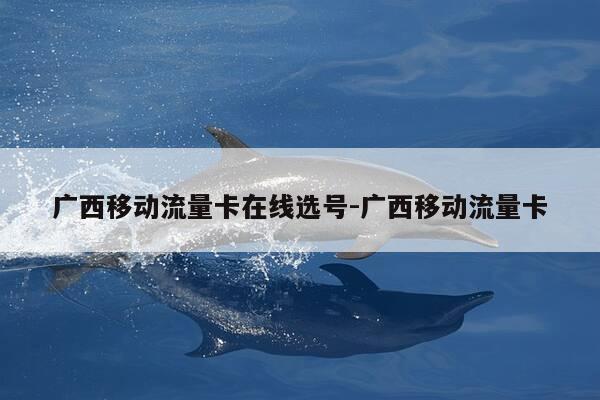 广西移动流量卡在线选号-广西移动流量卡-第1张图片-优惠活动网 广西移动流量卡在线选号-广西移动流量卡-第1张图片-优惠活动网