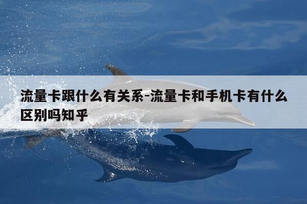 流量卡跟什么有关系-流量卡和手机卡有什么区别吗知乎-第1张图片-优惠活动网