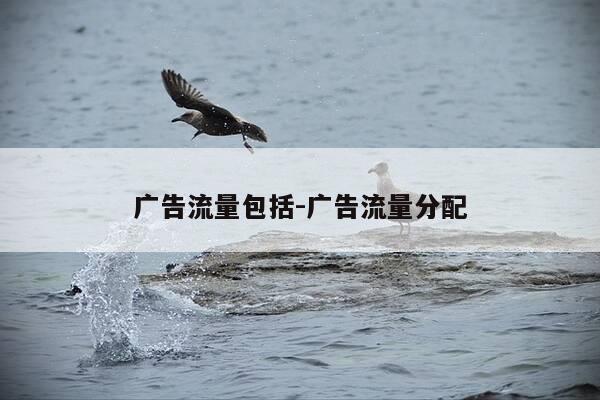 广告流量包括-广告流量分配-第1张图片-优惠活动网 广告流量包括-广告流量分配-第1张图片-优惠活动网