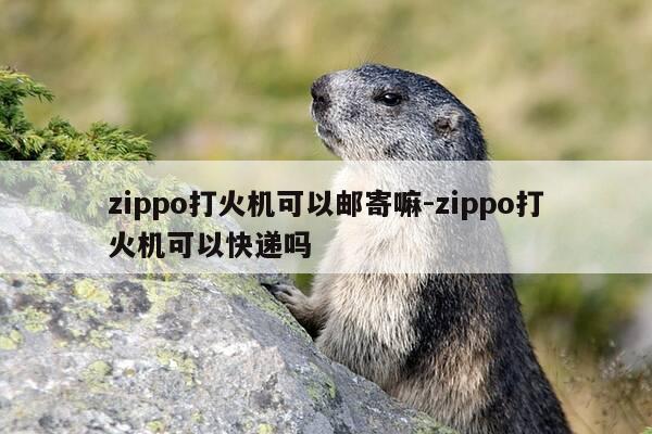 zippo打火机可以邮寄嘛-zippo打火机可以快递吗-第1张图片-优惠活动网 zippo打火机可以邮寄嘛-zippo打火机可以快递吗-第1张图片-优惠活动网