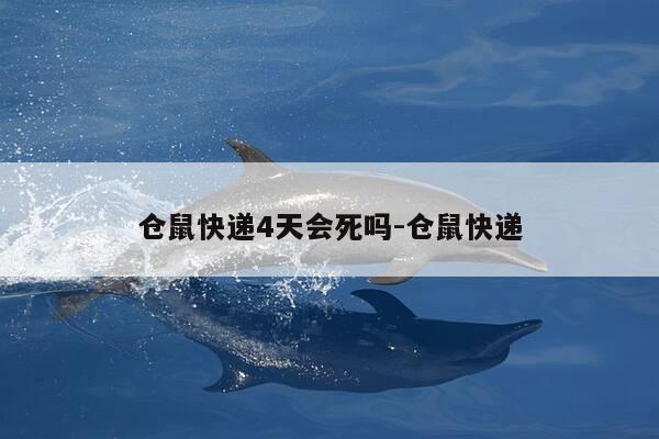 仓鼠快递4天会死吗-仓鼠快递-第1张图片-优惠活动网 仓鼠快递4天会死吗-仓鼠快递-第1张图片-优惠活动网