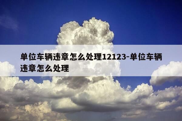 单位车辆违章怎么处理12123-单位车辆违章怎么处理-第1张图片-优惠活动网