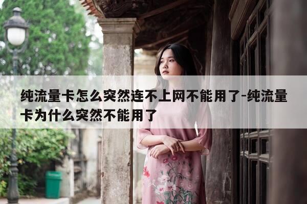 纯流量卡怎么突然连不上网不能用了-纯流量卡为什么突然不能用了-第1张图片-优惠活动网