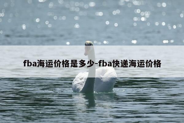fba海运价格是多少-fba快递海运价格-第1张图片-优惠活动网