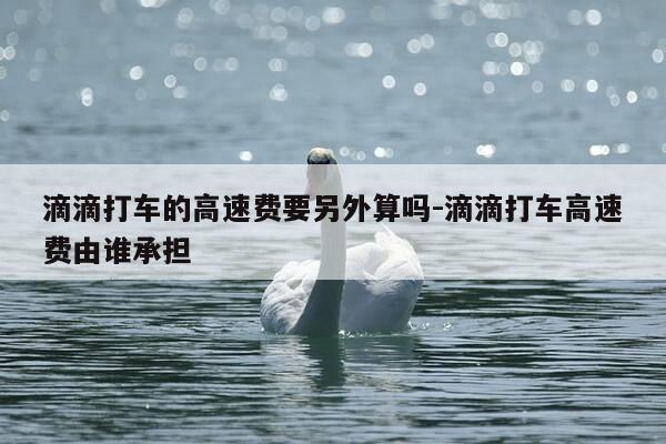 滴滴打车的高速费要另外算吗-滴滴打车高速费由谁承担-第1张图片-优惠活动网