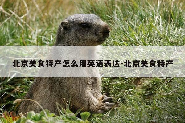北京美食特产怎么用英语表达-北京美食特产-第1张图片-优惠活动网
