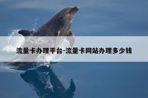 流量卡办理平台-流量卡网站办理多少钱-第1张图片-优惠活动网