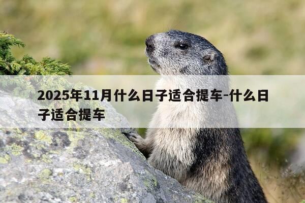 2025年11月什么日子适合提车-什么日子适合提车-第1张图片-优惠活动网 2025年11月什么日子适合提车-什么日子适合提车-第1张图片-优惠活动网