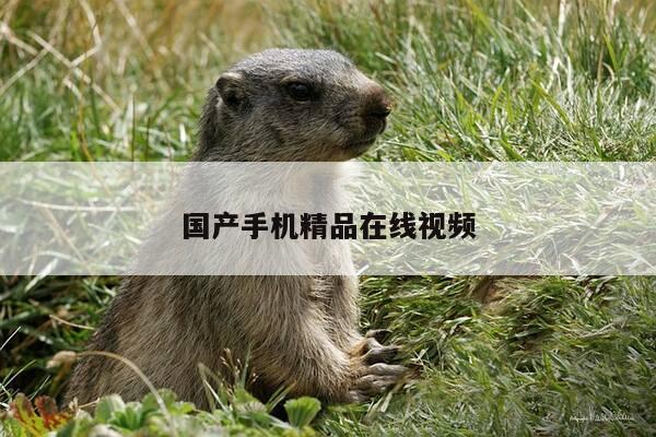 国产手机精品在线视频-第1张图片-优惠活动网