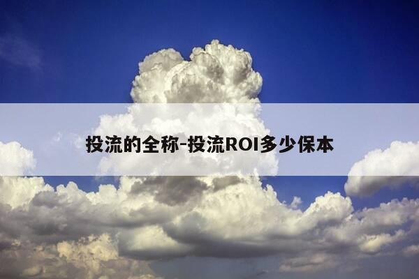 投流的全称-投流ROI多少保本-第1张图片-优惠活动网