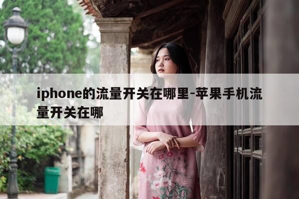 iphone的流量开关在哪里-苹果手机流量开关在哪-第1张图片-优惠活动网 iphone的流量开关在哪里-苹果手机流量开关在哪-第1张图片-优惠活动网