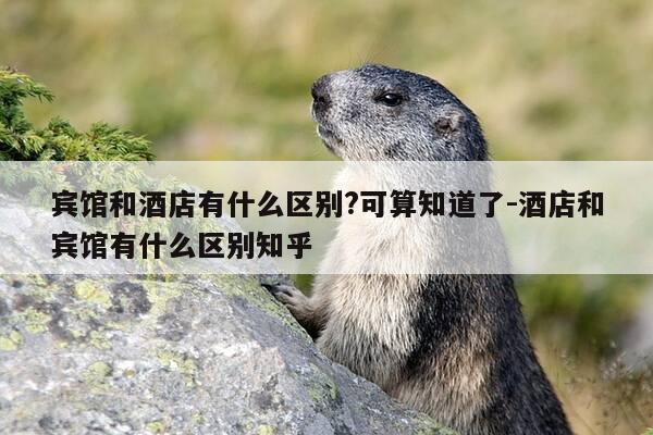 宾馆和酒店有什么区别?可算知道了-酒店和宾馆有什么区别知乎-第1张图片-优惠活动网 宾馆和酒店有什么区别?可算知道了-酒店和宾馆有什么区别知乎-第1张图片-优惠活动网