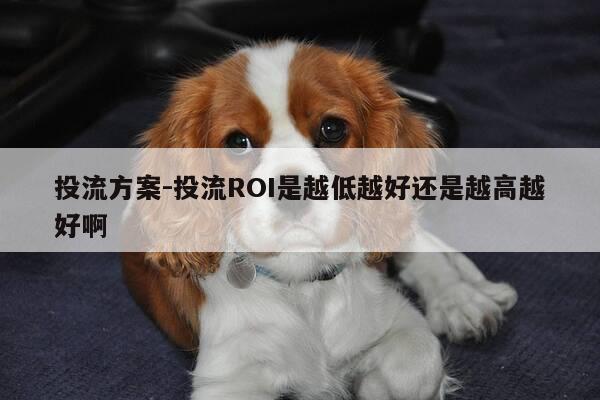 投流方案-投流ROI是越低越好还是越高越好啊-第1张图片-优惠活动网
