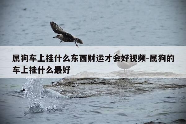 属狗车上挂什么东西财运才会好视频-属狗的车上挂什么最好-第1张图片-优惠活动网
