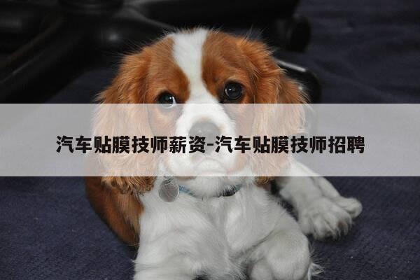 汽车贴膜技师薪资-汽车贴膜技师招聘-第1张图片-优惠活动网 汽车贴膜技师薪资-汽车贴膜技师招聘-第1张图片-优惠活动网