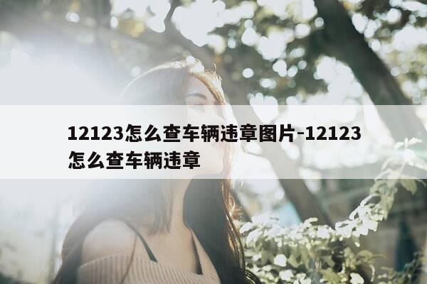 12123怎么查车辆违章图片-12123怎么查车辆违章-第1张图片-优惠活动网 12123怎么查车辆违章图片-12123怎么查车辆违章-第1张图片-优惠活动网