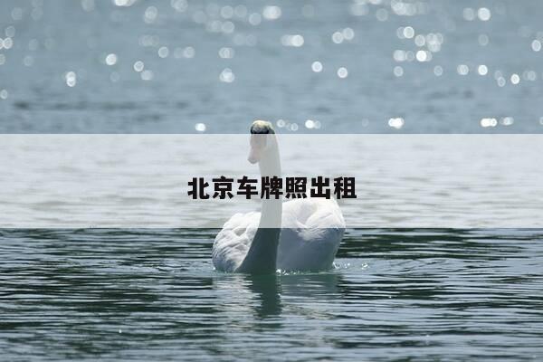 北京车牌照出租-第1张图片-优惠活动网