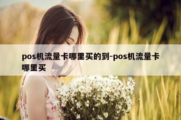 pos机流量卡哪里买的到-pos机流量卡哪里买-第1张图片-优惠活动网 pos机流量卡哪里买的到-pos机流量卡哪里买-第1张图片-优惠活动网