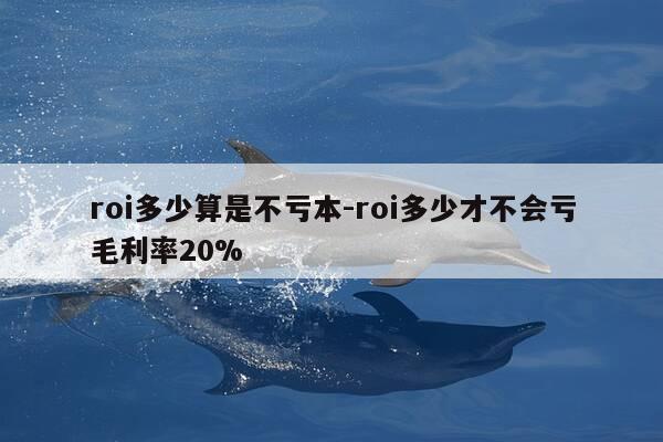 roi多少算是不亏本-roi多少才不会亏毛利率20%-第1张图片-优惠活动网