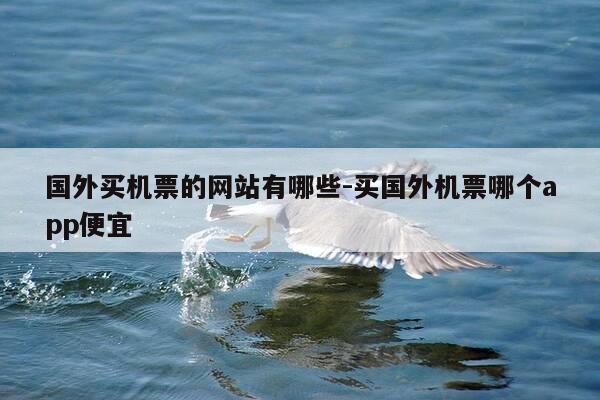 国外买机票的网站有哪些-买国外机票哪个app便宜-第1张图片-优惠活动网