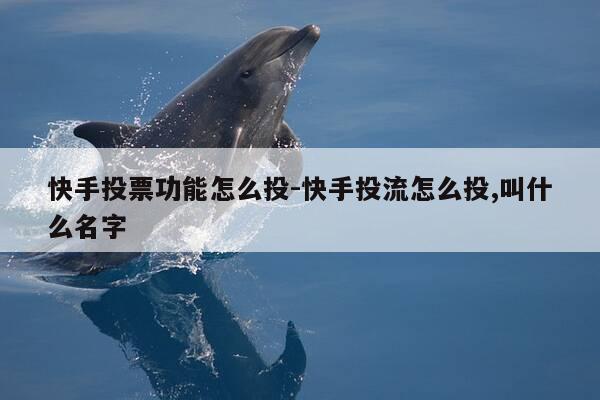 快手投票功能怎么投-快手投流怎么投,叫什么名字-第1张图片-优惠活动网