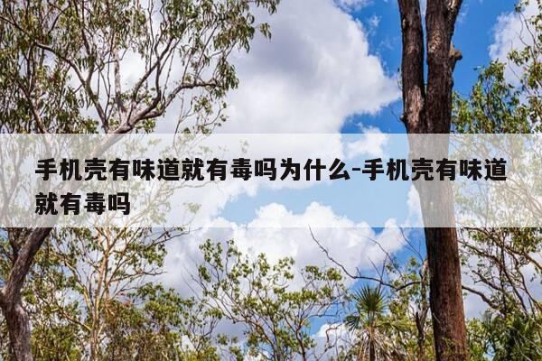 手机壳有味道就有毒吗为什么-手机壳有味道就有毒吗-第1张图片-优惠活动网 手机壳有味道就有毒吗为什么-手机壳有味道就有毒吗-第1张图片-优惠活动网