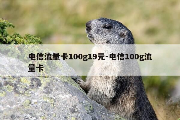 电信流量卡100g19元-电信100g流量卡-第1张图片-优惠活动网
