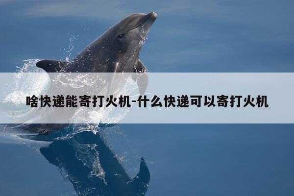 啥快递能寄打火机-什么快递可以寄打火机-第1张图片-优惠活动网