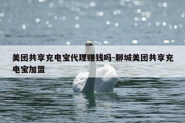 美团共享充电宝代理赚钱吗-聊城美团共享充电宝加盟-第1张图片-优惠活动网