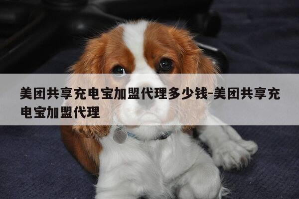 美团共享充电宝加盟代理多少钱-美团共享充电宝加盟代理-第1张图片-优惠活动网