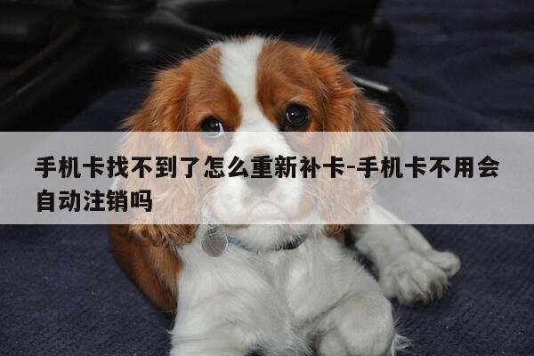 手机卡找不到了怎么重新补卡-手机卡不用会自动注销吗-第1张图片-优惠活动网