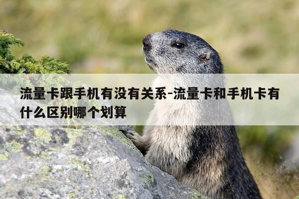 流量卡跟手机有没有关系-流量卡和手机卡有什么区别哪个划算-第1张图片-优惠活动网 流量卡跟手机有没有关系-流量卡和手机卡有什么区别哪个划算-第1张图片-优惠活动网