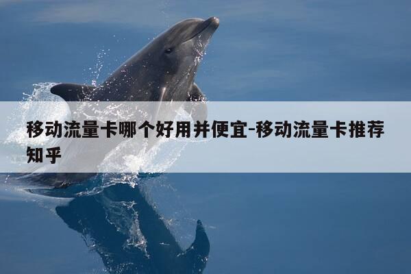 移动流量卡哪个好用并便宜-移动流量卡推荐知乎-第1张图片-优惠活动网