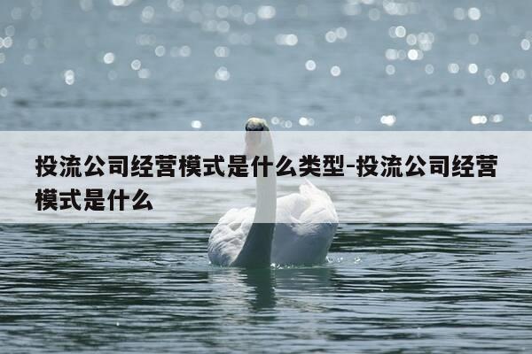 投流公司经营模式是什么类型-投流公司经营模式是什么-第1张图片-优惠活动网
