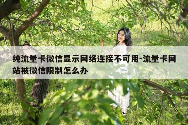 纯流量卡微信显示网络连接不可用-流量卡网站被微信限制怎么办-第1张图片-优惠活动网 纯流量卡微信显示网络连接不可用-流量卡网站被微信限制怎么办-第1张图片-优惠活动网