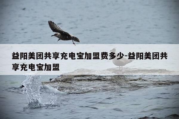 益阳美团共享充电宝加盟费多少-益阳美团共享充电宝加盟-第1张图片-优惠活动网